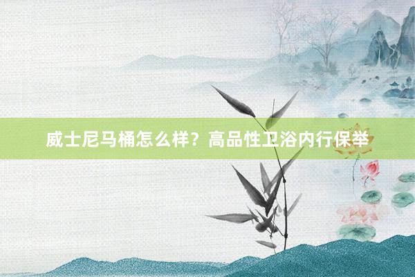 威士尼马桶怎么样？高品性卫浴内行保举